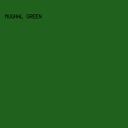 20621D - Mughal Green color image preview