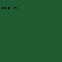 215B33 - Mughal Green color image preview