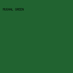 216330 - Mughal Green color image preview