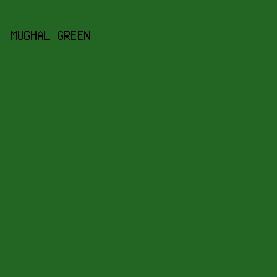 236623 - Mughal Green color image preview