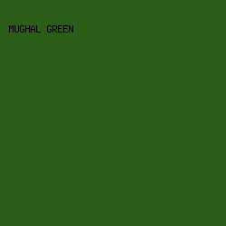 2B5D18 - Mughal Green color image preview