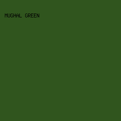 30551E - Mughal Green color image preview