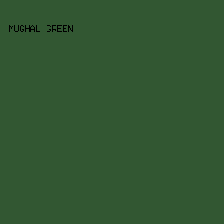 325732 - Mughal Green color image preview