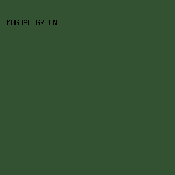 335232 - Mughal Green color image preview