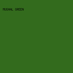 336B1D - Mughal Green color image preview