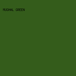 345c1b - Mughal Green color image preview