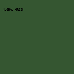 355631 - Mughal Green color image preview