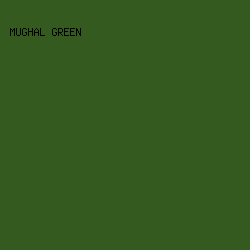355A20 - Mughal Green color image preview