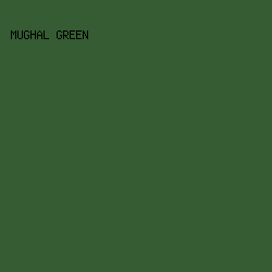 355C33 - Mughal Green color image preview