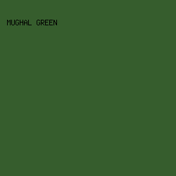 365D2D - Mughal Green color image preview