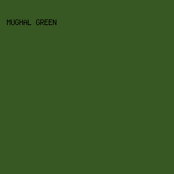 375723 - Mughal Green color image preview