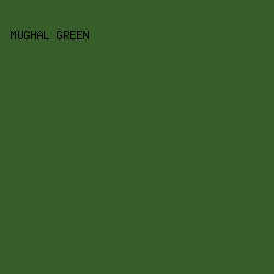 375E2A - Mughal Green color image preview