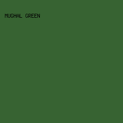 376332 - Mughal Green color image preview