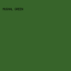 37642A - Mughal Green color image preview