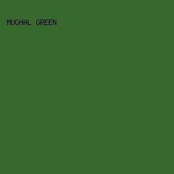 37692e - Mughal Green color image preview
