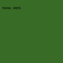 386B25 - Mughal Green color image preview