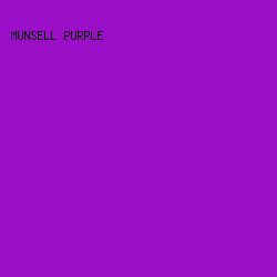 9B0EC7 - Munsell Purple color image preview
