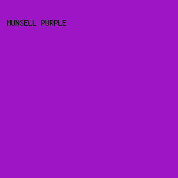9E15C5 - Munsell Purple color image preview