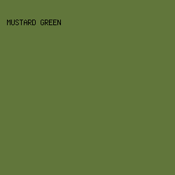 61763B - Mustard Green color image preview