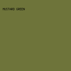 6E743A - Mustard Green color image preview