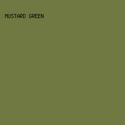 6F7941 - Mustard Green color image preview