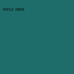 1E6D6B - Myrtle Green color image preview