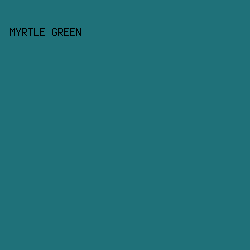1F7179 - Myrtle Green color image preview
