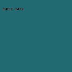 216A71 - Myrtle Green color image preview