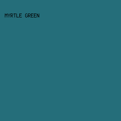 256E7A - Myrtle Green color image preview