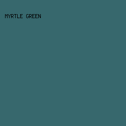 37686d - Myrtle Green color image preview