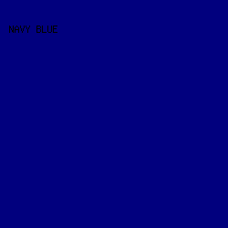 01007E - Navy Blue color image preview