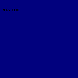 01017E - Navy Blue color image preview