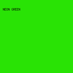 29E305 - Neon Green color image preview