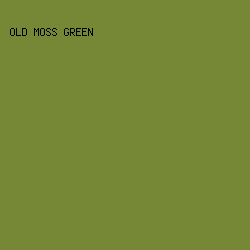 768736 - Old Moss Green color image preview