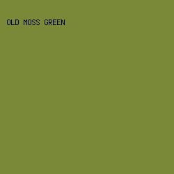 798937 - Old Moss Green color image preview