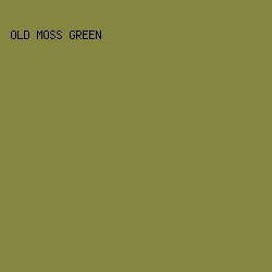 858741 - Old Moss Green color image preview