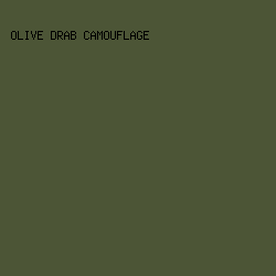 4c5536 - Olive Drab Camouflage color image preview