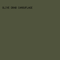 50543d - Olive Drab Camouflage color image preview