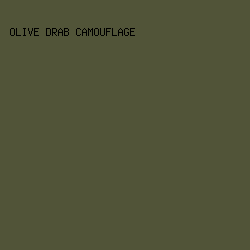 515438 - Olive Drab Camouflage color image preview