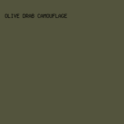 53543d - Olive Drab Camouflage color image preview