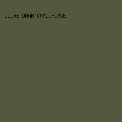 54583e - Olive Drab Camouflage color image preview