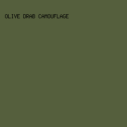 555F3D - Olive Drab Camouflage color image preview