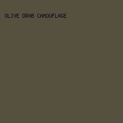 56503e - Olive Drab Camouflage color image preview
