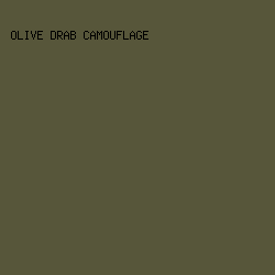 57563a - Olive Drab Camouflage color image preview