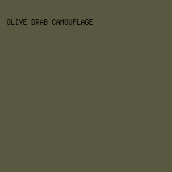 595942 - Olive Drab Camouflage color image preview