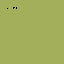 A3AF5B - Olive Green color image preview