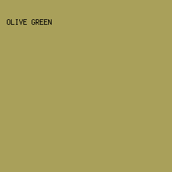 A9A05A - Olive Green color image preview
