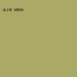 AAA966 - Olive Green color image preview