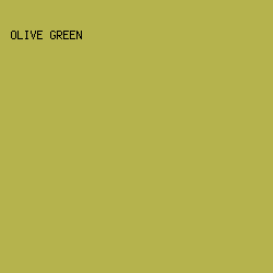 B5B34D - Olive Green color image preview