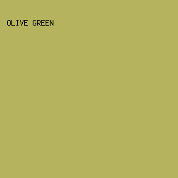 B5B35D - Olive Green color image preview